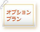 オプションプラン料金表