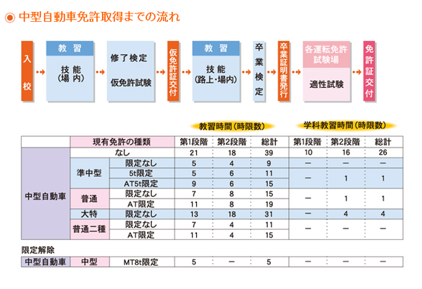 中型自動車